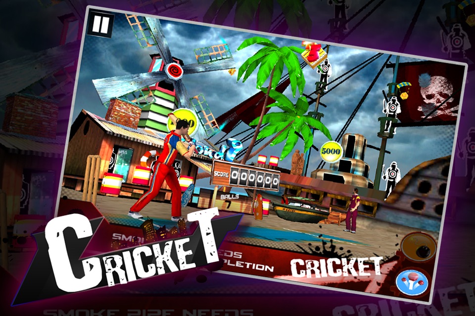 Cricket 3D : Street Challenge screenshot 4