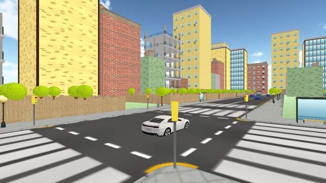 VR Real Traffic Road Crossing For Virtual Glasses(圖4)-速報App