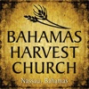 Bahamas Harvest