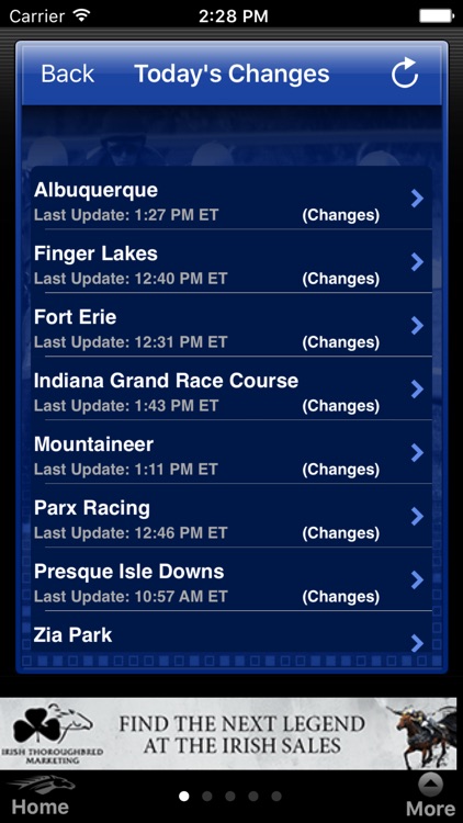 Horse Races Now
