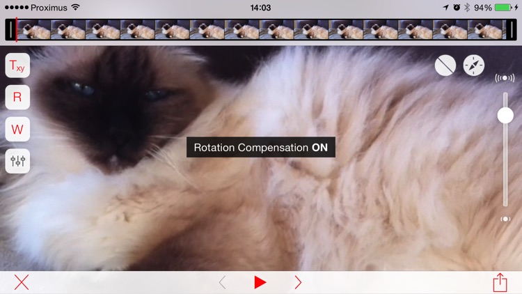 Emulsio - Powerful Video Stabilization