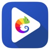 Cameleon Companion Cameleon Companion