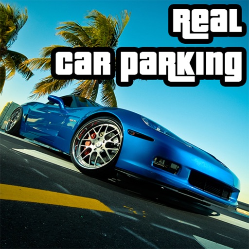 Real Car Parking Simulator : 2016 icon