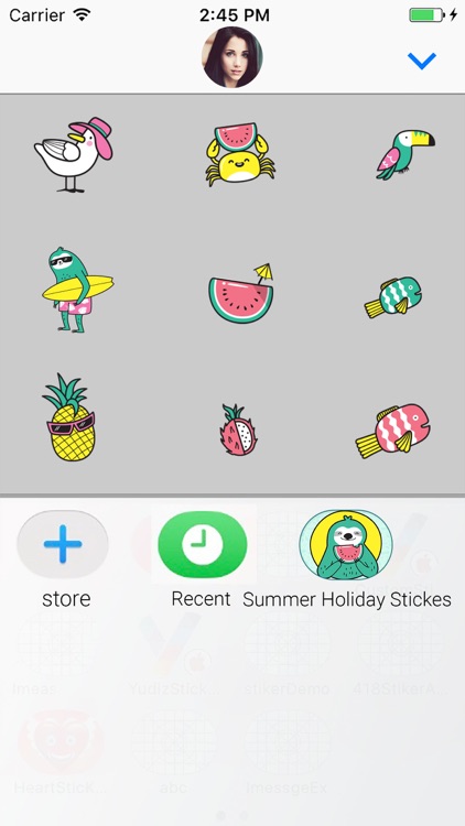 Summer: Animated Stickes screenshot-3