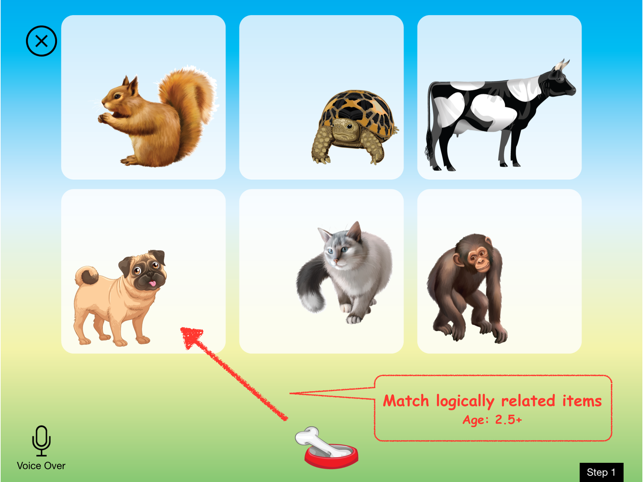 Pair By Nature - Match logically related