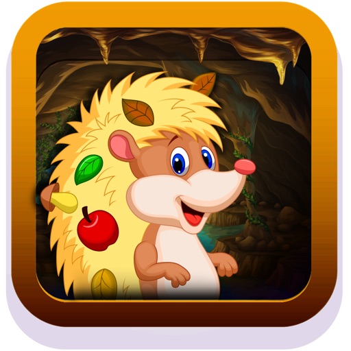 Crazy Jumpy Hedgehog Dash - Tunnel Escape Adventure Icon