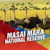 Masai Mara National Reserve Tourism Guide