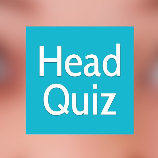 Head Quiz Icon