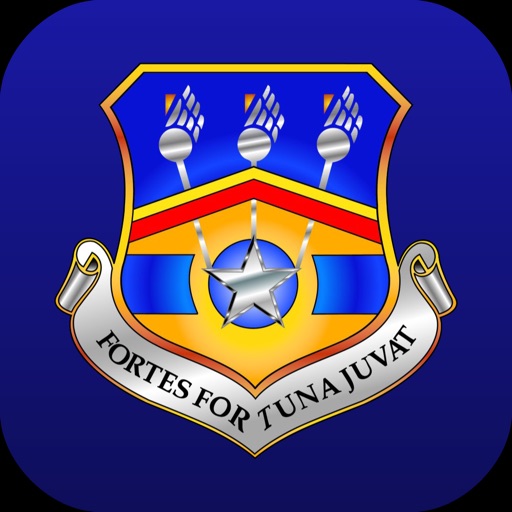 123d Airlift Wing Icon