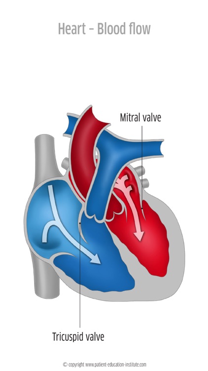 BSC, Belgian Society Of Cardiology, Phone App