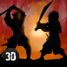 Activities of Shadow Kung Fu Fighting 3D Full