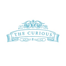 The Curious Cafe