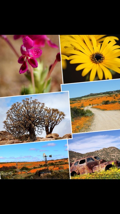 The South African Traveler Mag