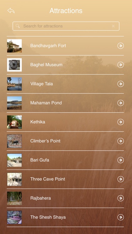 Bandhavgarh National Park Tourism Guide