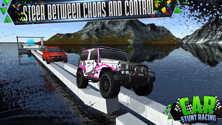 Car Stunt Racing screenshot-4