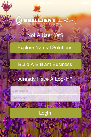 Brilliant Solutions Group screenshot 2