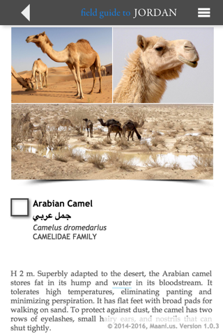 Field Guide to Jordan screenshot 4