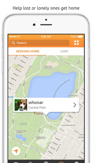 Petle: for Animal Lovers, Lost & Seeking Home(圖2)-速報App