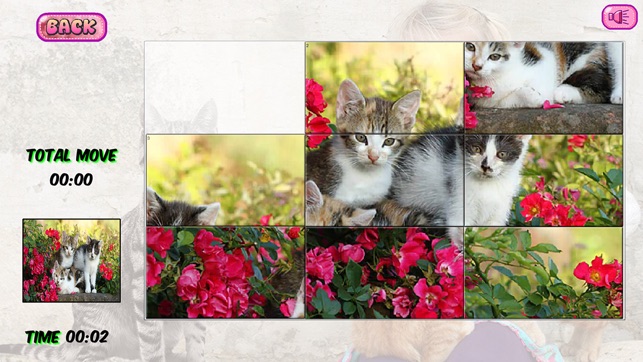 Puzzles of Kittens(圖4)-速報App