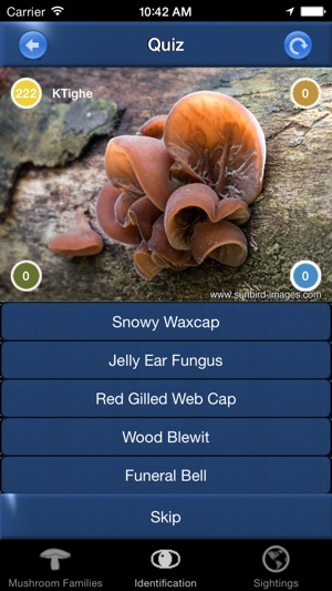 Mushroom Id Guide - UK(圖5)-速報App