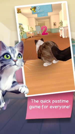 Cat Run - Cats on the go(圖5)-速報App