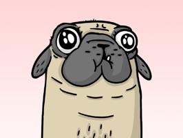 Ugly pug stickers for your messages