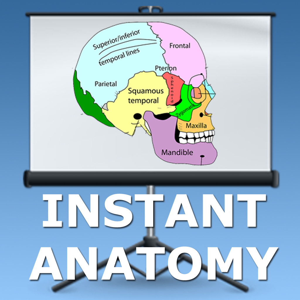 Anatomy Lectures Head and Neck App Icon