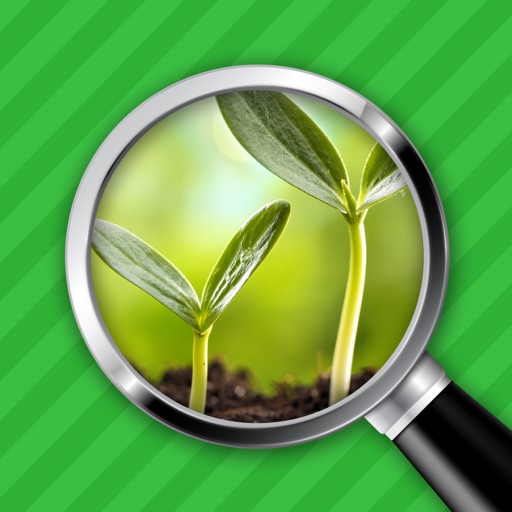 Close-up & Words - Plants Edition iOS App