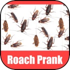 Roach Scare Prank
