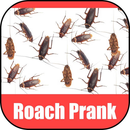 Roach Scare Prank icon