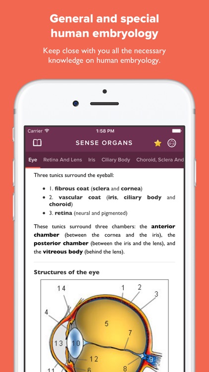 Atlas of Human Embryology