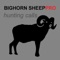 The REAL Bighorn Sheep Hunting Calls app provides you bighorn sheep calls at your fingertips