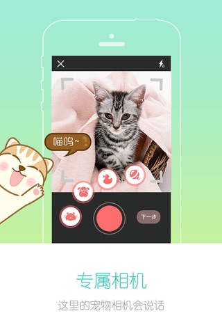 宠物秀-猫狗明星的逗秀搞笑社区 screenshot 4