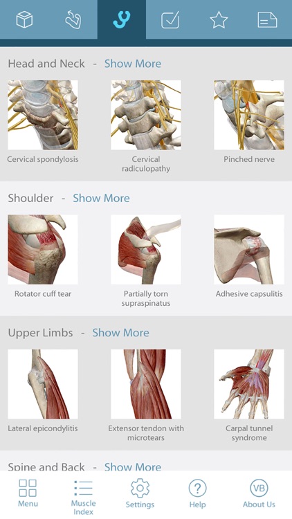 For Organizations - Muscle Premium