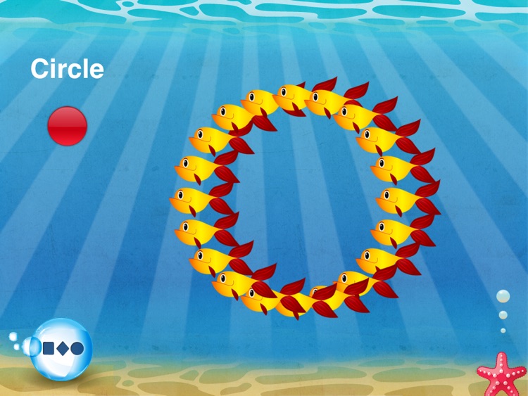 Fish School HD - by Duck Duck Moose screenshot-4