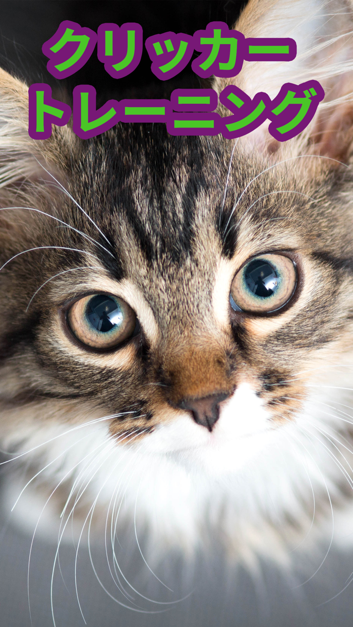 クリッカー 愛犬・愛猫のためのトレーニング