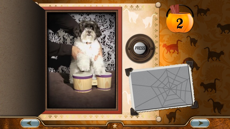 Millie's Book of Tricks and Treats