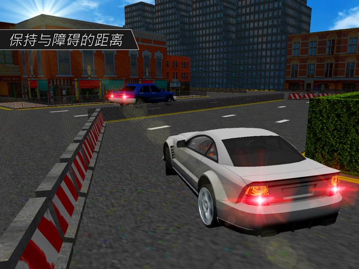 独特的停车场：驾驶Sim