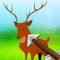 Big Game Deer Hunting Shooter Challenge