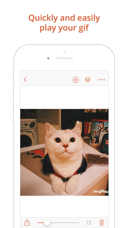 GIF Viewer - The GIF Album