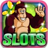 Lucky Gorilla Slots: Daily spins and rewards for the most ferocious gambling master