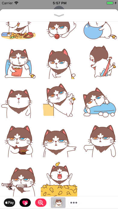 Catty Animated Stickers 2 screenshot 2