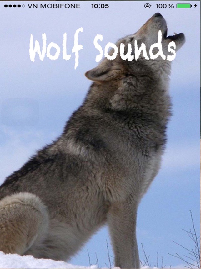 Wolf Sounds Gray Wolf Sounds On The App Store - roblox werewolf a wolf or other