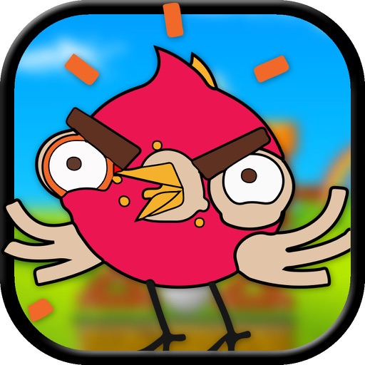 Angry Chicken Bird iOS App