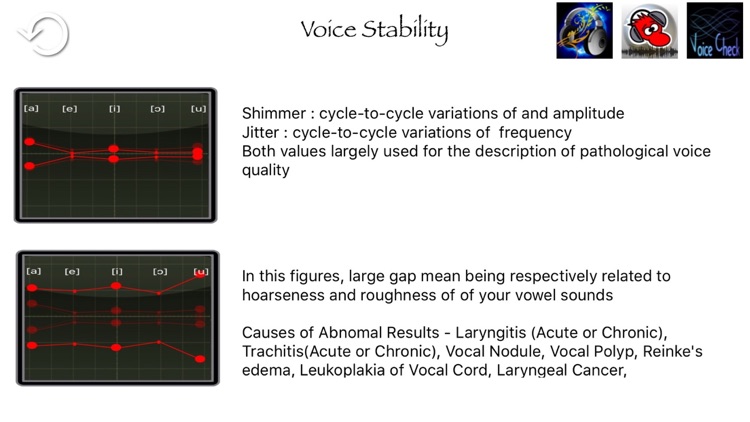 Voice Stability Test screenshot-3
