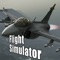 Ace Combat Flight Simulator: Assault Horizon