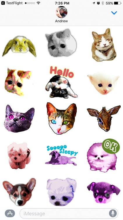 Cute Awesome Animals Sticker Pack
