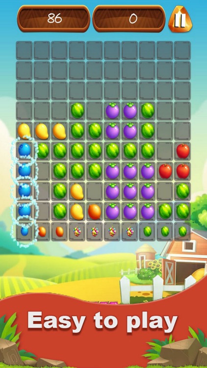 Fruit Block Fit Logic!