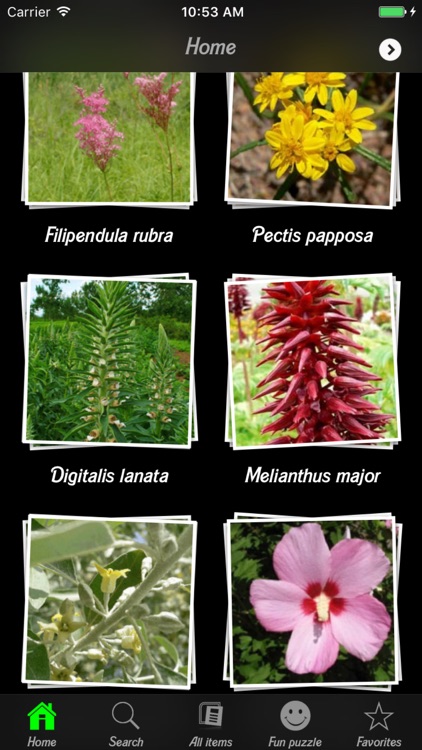 Medicinal Plants Guide