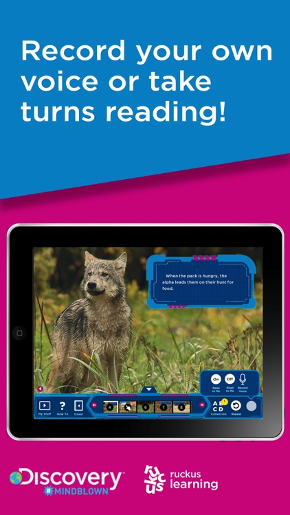 Discovery #MindBlown: Wolves